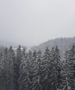 Photo Digital Image Picture Wallpaper Background # 212