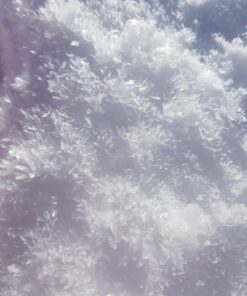 Photo Digital Image Picture Wallpaper Background # 221